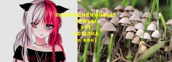 ALPHA-PVP Алзамай